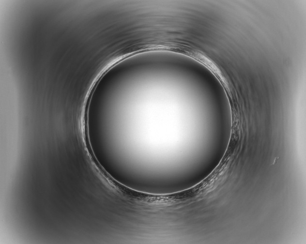 X0000094340811200711021449