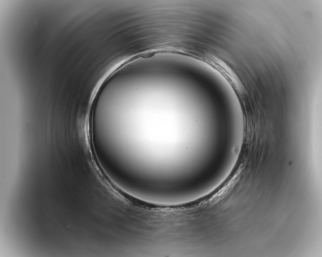 X0000094340812200711021449