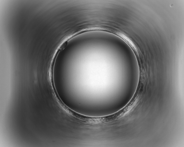 X0000094340813200711021449