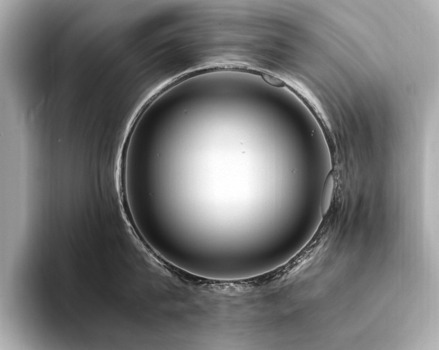X0000094340815200711021449