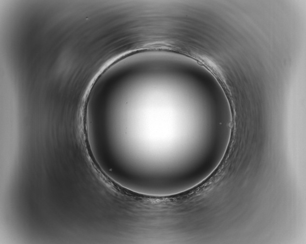 X0000094340816200711021449