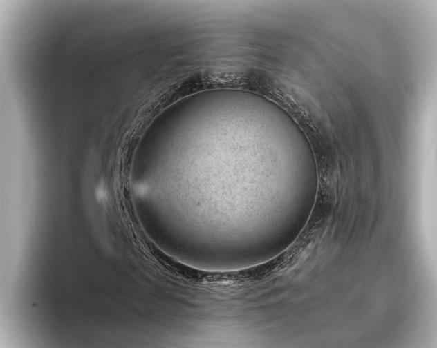 X0000094340817200711021449