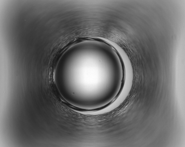 X0000094340818200711021449