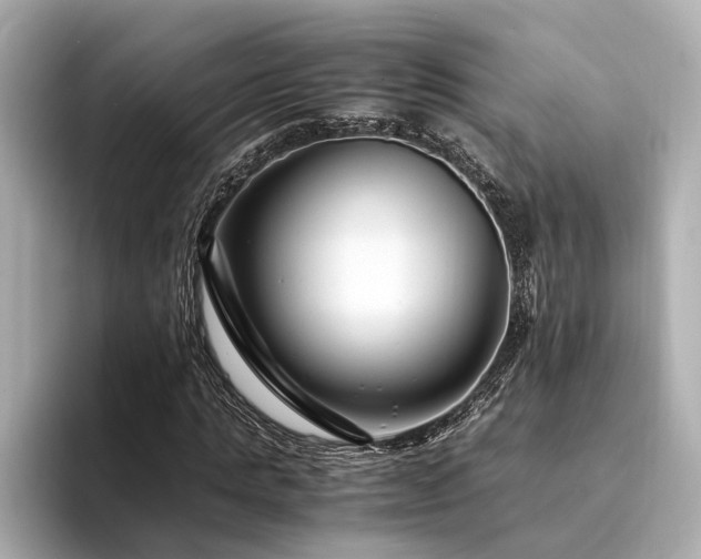 X0000094340821200711021449