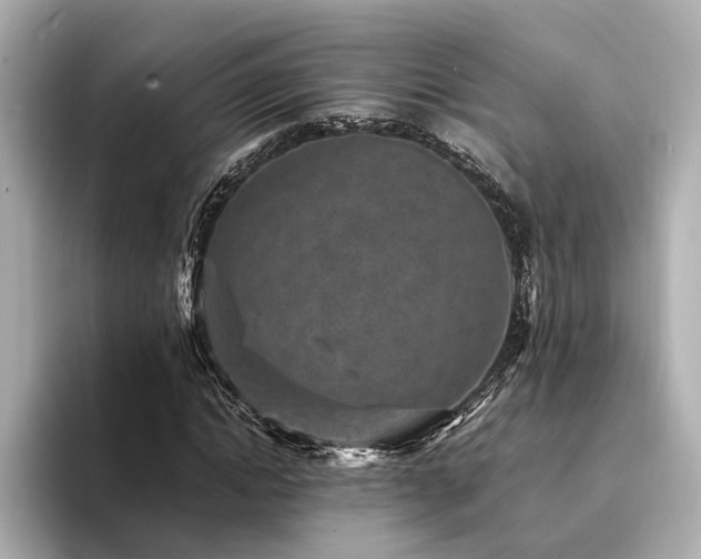 X0000094340822200711021449
