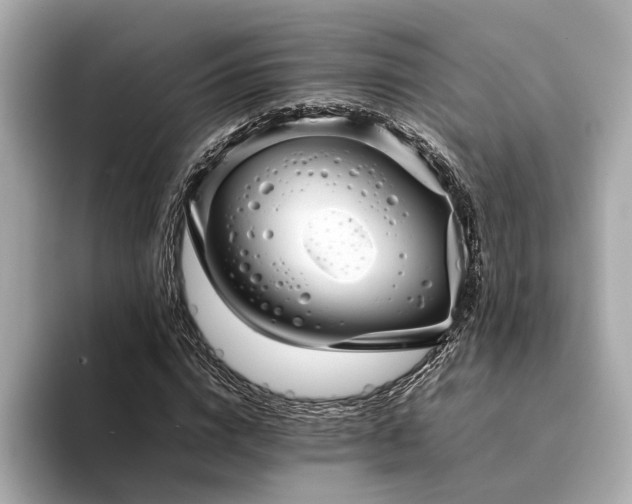 X0000094340824200711021449