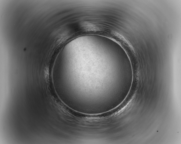 X0000094340825200711021449