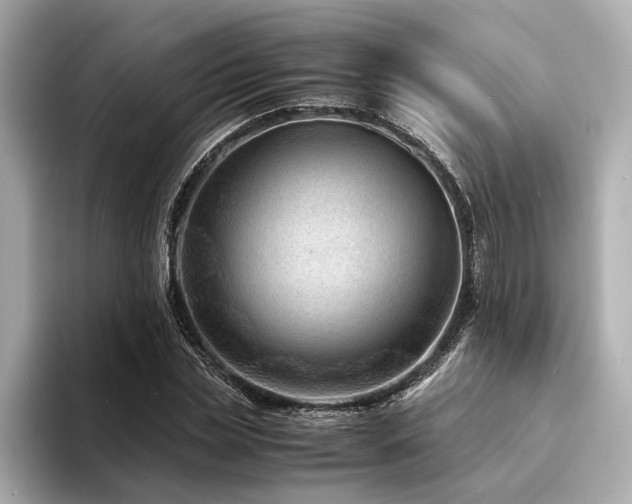 X0000094340829200711021449