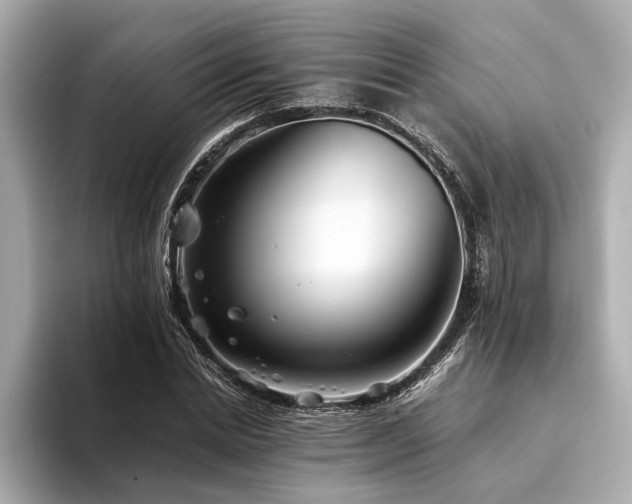 X0000094340830200711021449