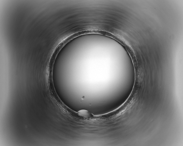 X0000094340831200711021449