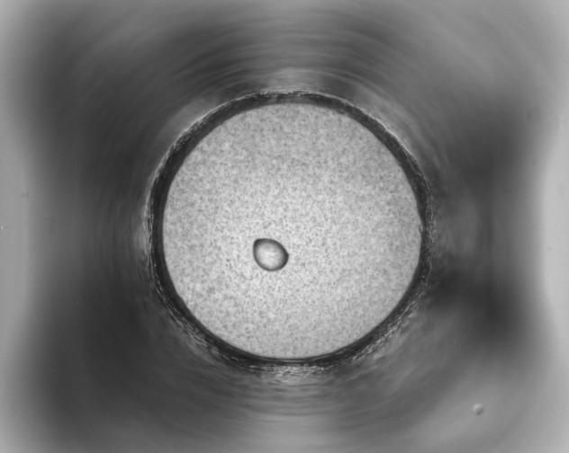 X0000094340832200711021449
