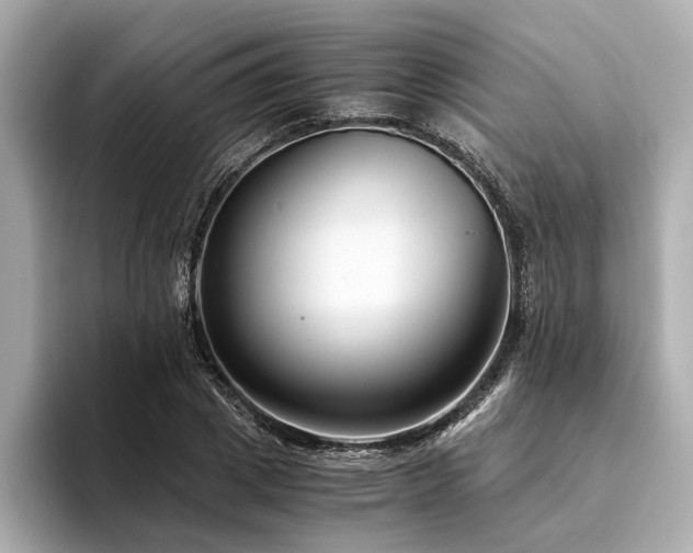 X0000094340833200711021449