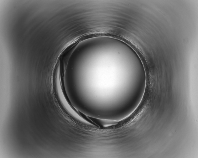 X0000094340834200711021449