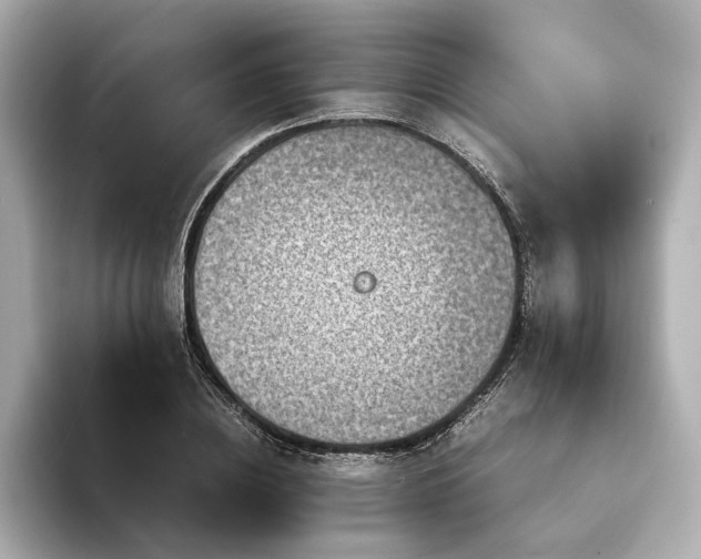 X0000094340836200711021449
