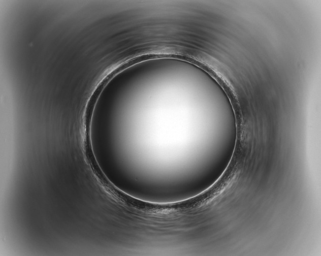X0000094340837200711021449