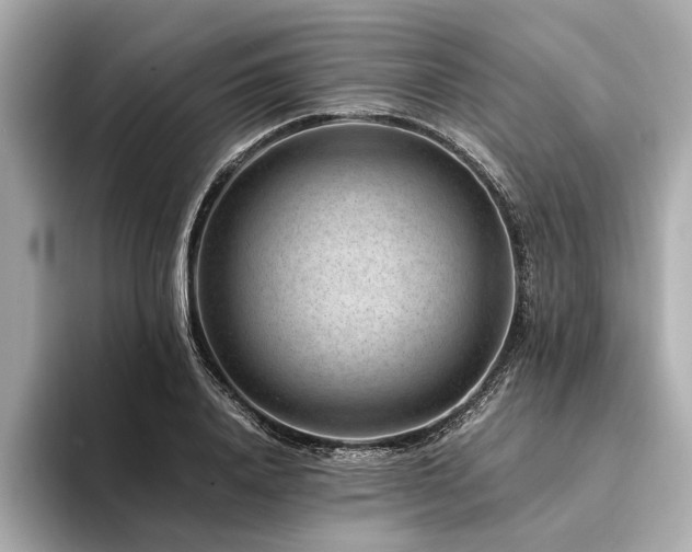 X0000094340840200711021449