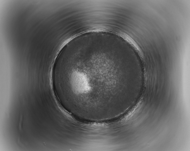 X0000094340842200711021449