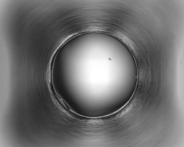 X0000094340844200711021449