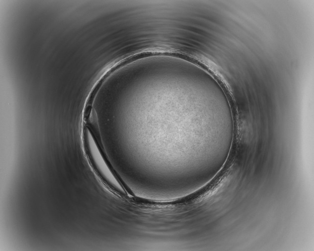 X0000094340845200711021449