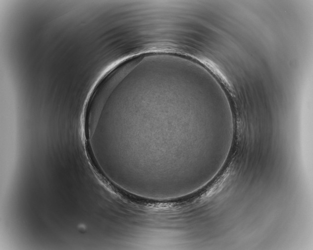 X0000094340846200711021449