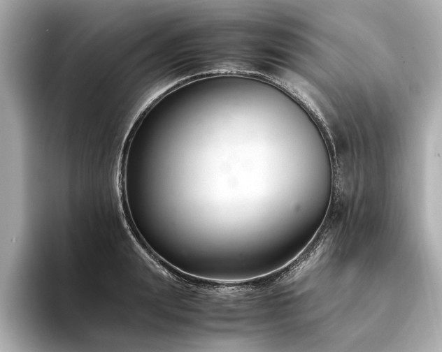 X0000094340847200711021449