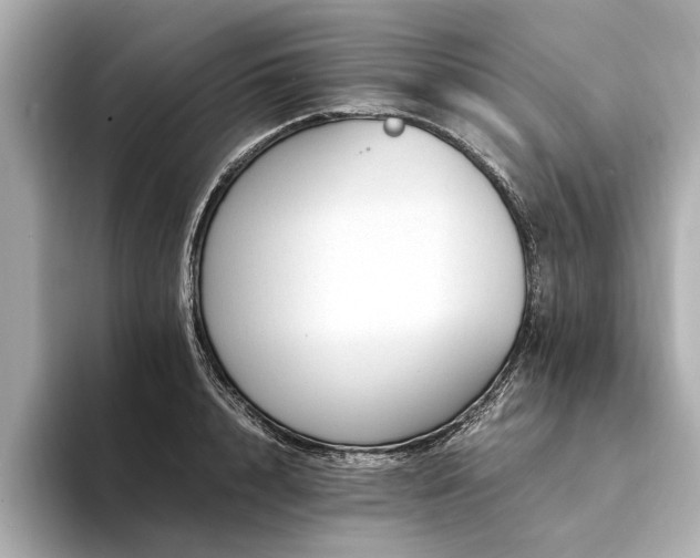 X0000094340848200711021449