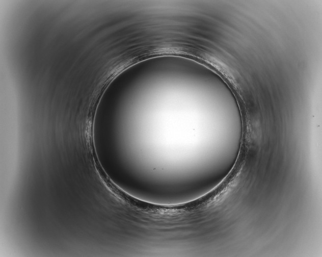 X0000094340849200711021449