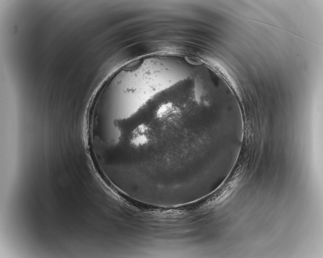 X0000094340851200711021449