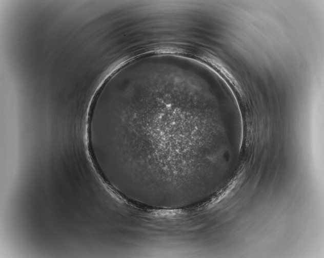 X0000094340853200711021449
