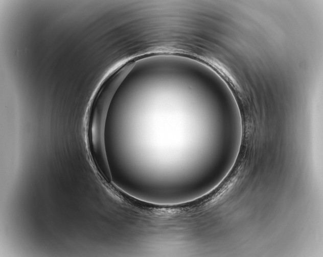X0000094340854200711021449