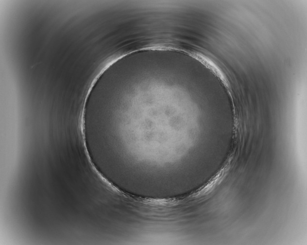 X0000094340855200711021449