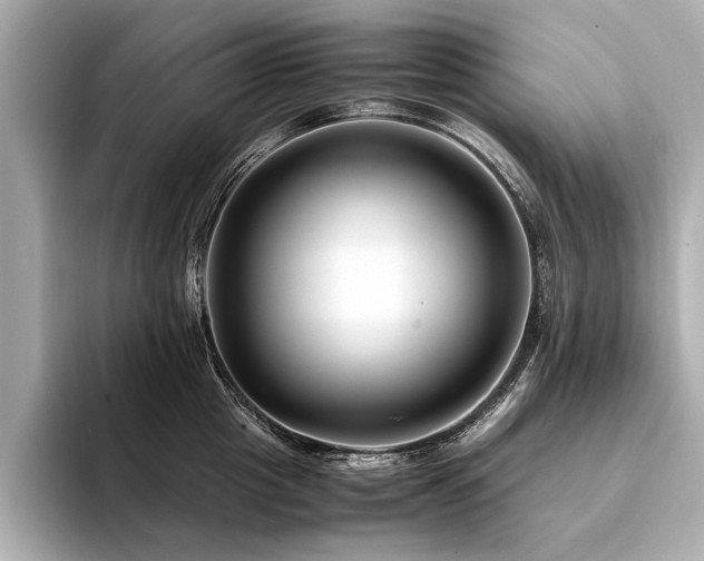 X0000094340857200711021449