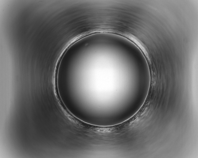 X0000094340861200711021449