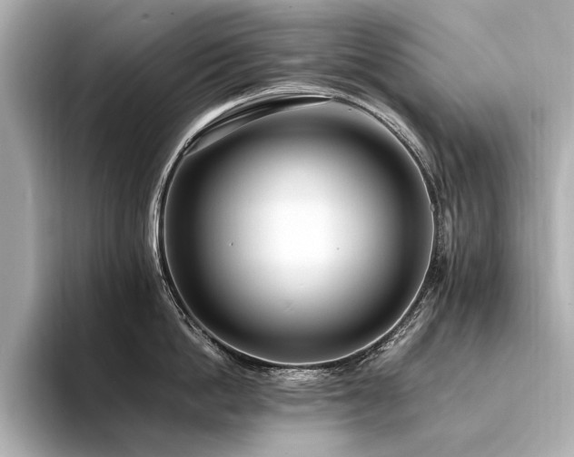 X0000094340862200711021449