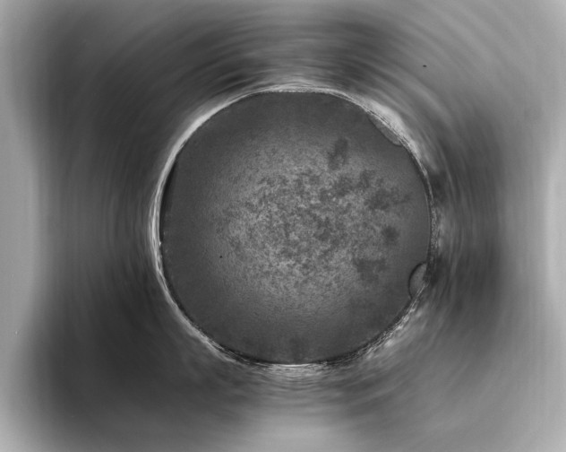 X0000094340863200711021449