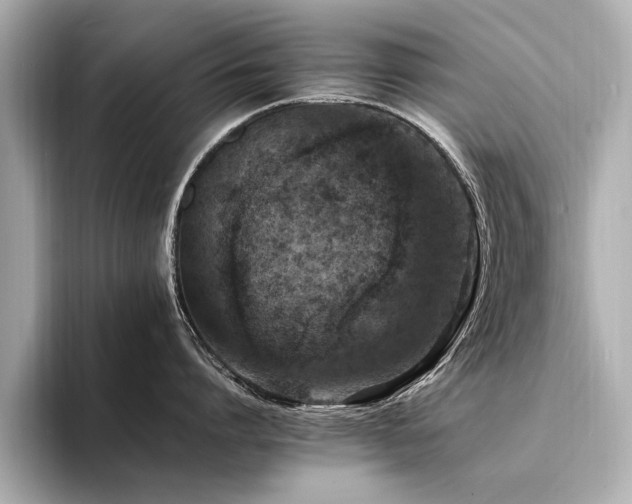 X0000094340864200711021449