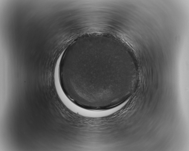 X0000094340868200711021449