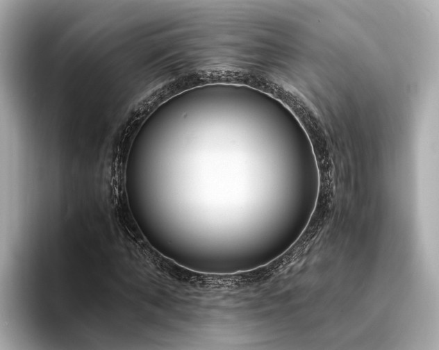 X0000094340870200711021449