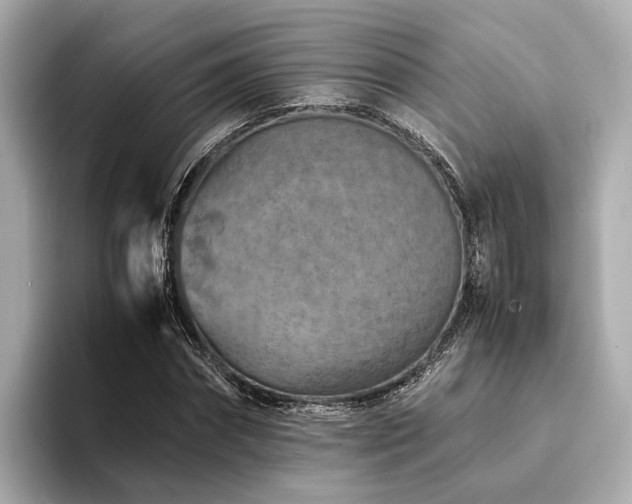 X0000094340874200711021449