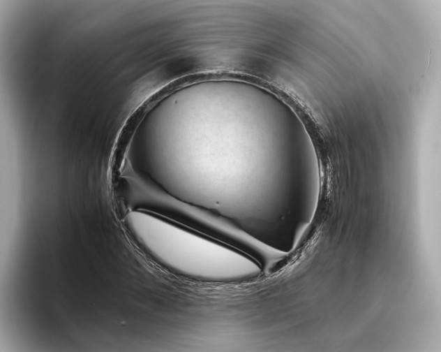 X0000094340876200711021449