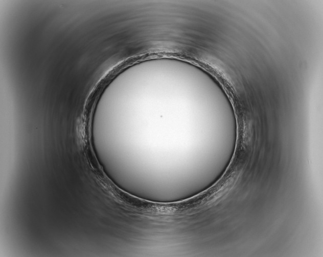 X0000094340878200711021449