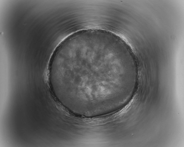 X0000094340879200711021449