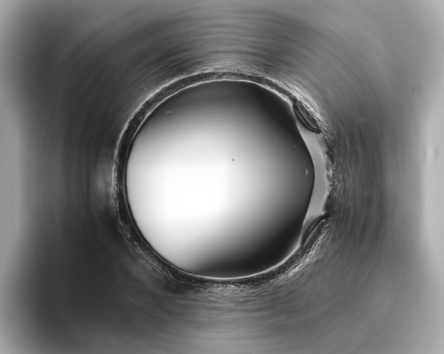 X0000094340880200711021449