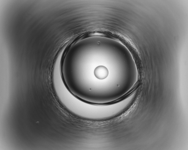 X0000094340881200711021449