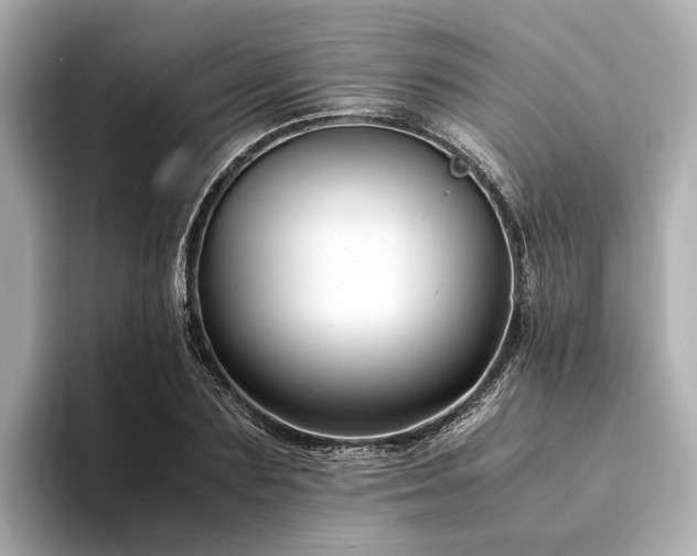 X0000094340883200711021449