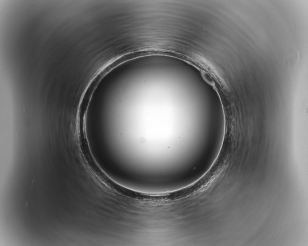 X0000094340884200711021449