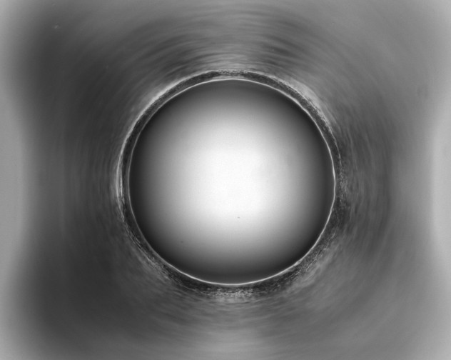X0000094340887200711021449