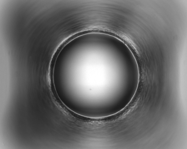 X0000094340888200711021449