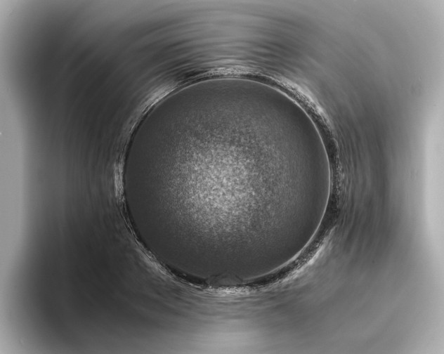 X0000094340889200711021449