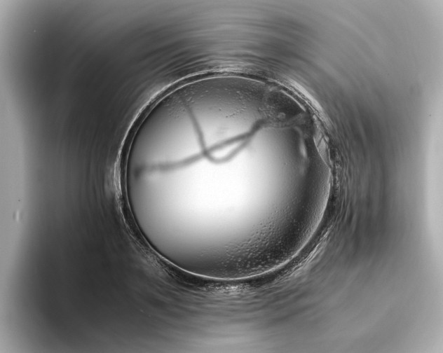 X0000094340891200711021449